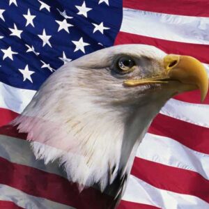 America Land of the Free Patriotic Music